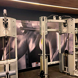 Adesivo decorativo de parade - Lona - Academia Alphaville - 18 Forte