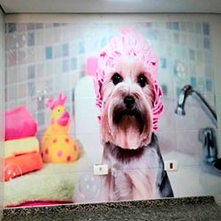 Impressão e aplicação de adesivo em parede - Pet Shop - Butantã - São Paulo