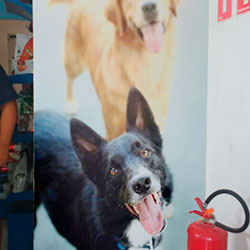 Painel Fotográfico para Vila Dogo