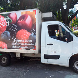 Aplicação de adesivo total com identidade visual Caminhão - Good Berry